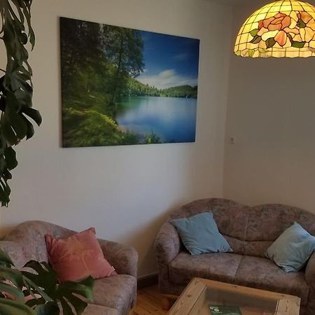 Ferienwohnung Alte-Schule-Kail Wohnung 2 Dış mekan fotoğraf