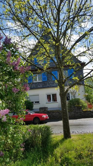 Ferienwohnung Alte-Schule-Kail Wohnung 2 Dış mekan fotoğraf