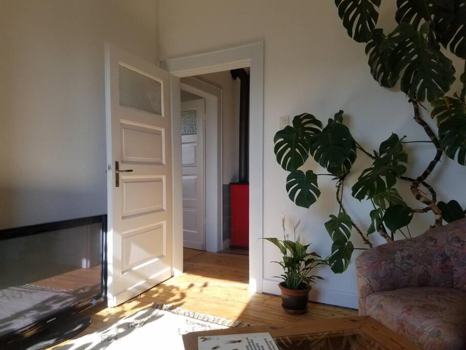 Ferienwohnung Alte-Schule-Kail Wohnung 2 Dış mekan fotoğraf