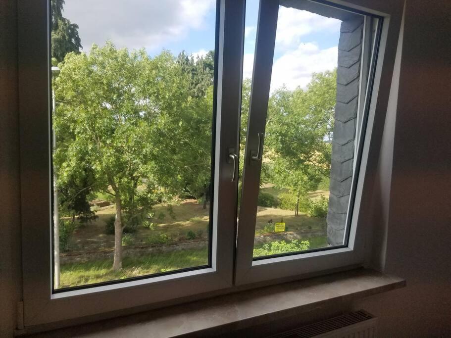 Ferienwohnung Alte-Schule-Kail Wohnung 2 Dış mekan fotoğraf