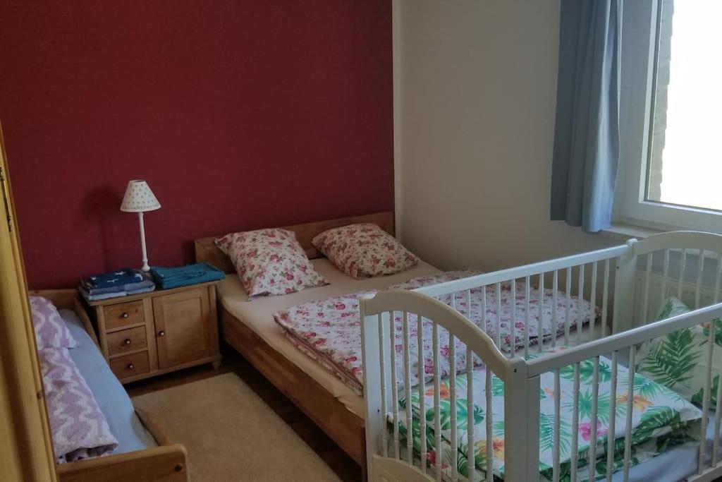 Ferienwohnung Alte-Schule-Kail Wohnung 2 Dış mekan fotoğraf