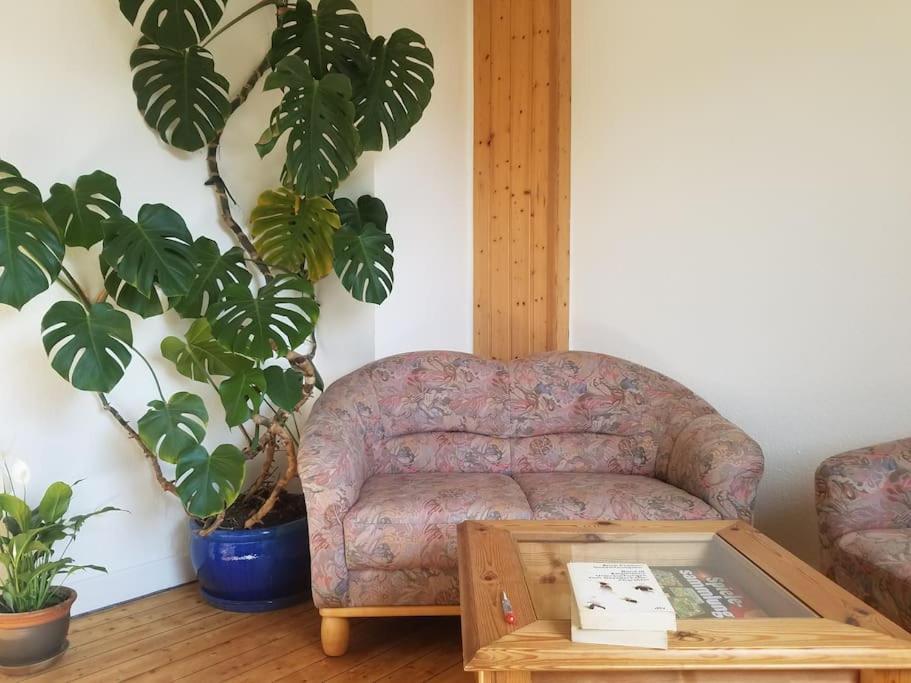 Ferienwohnung Alte-Schule-Kail Wohnung 2 Dış mekan fotoğraf